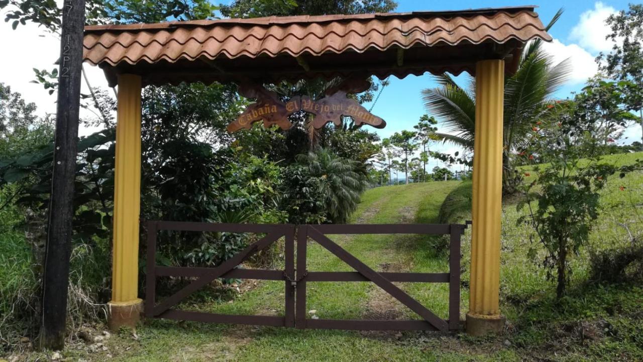 Cabana El Viejo Del Monte Venecia Esterno foto